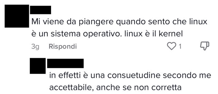 Che vuol dire kernel - Commento in cui mi si fa notare come "Linux" sia il nome del kernel e non del sistema operativo