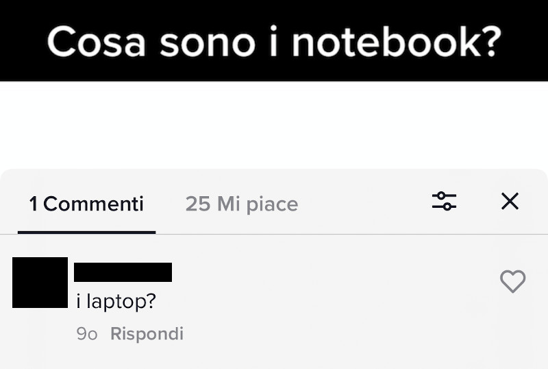 Commento al video che spiega cos'è un notebook in cui mi si fa notare di non aver menzionato il termine "laptop"