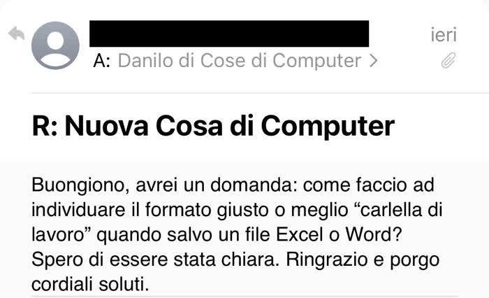 Richiesta di cosa di computer in cui mi si chiede cosa sono i formati dei file