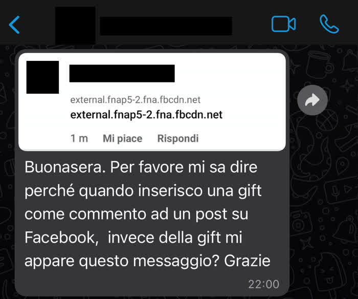 Cosa sono le GIF animate - Messaggio in cui mi si segnala un malfunzionamento di Facebook