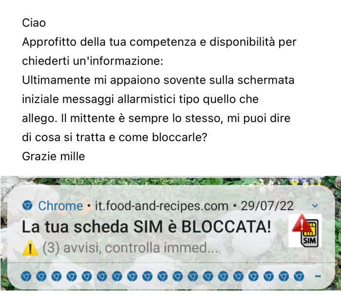 Cosa sono le notifiche - Segnalazione di una notifica inviata da Google Chrome