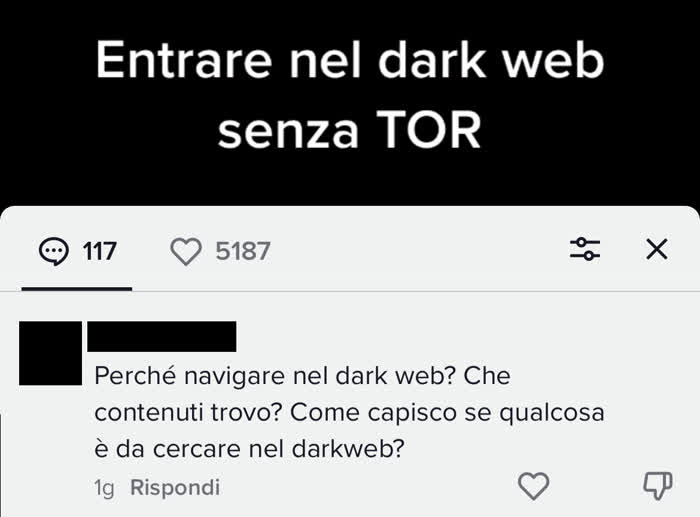 Commento in cui mi si chiede cosa trovi nel dark web