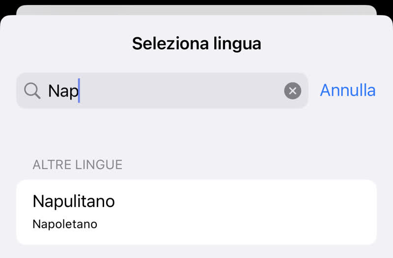 Schermata dell'app impostazioni mediante il quale è possibile impostare un iPhone in dialetto napoletano