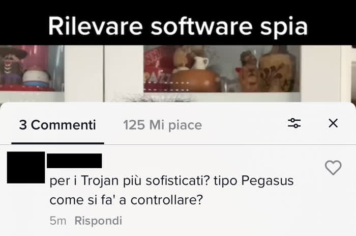 Spyware pegasus - Richiesta di cosa di computer